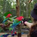 Parque das Aves