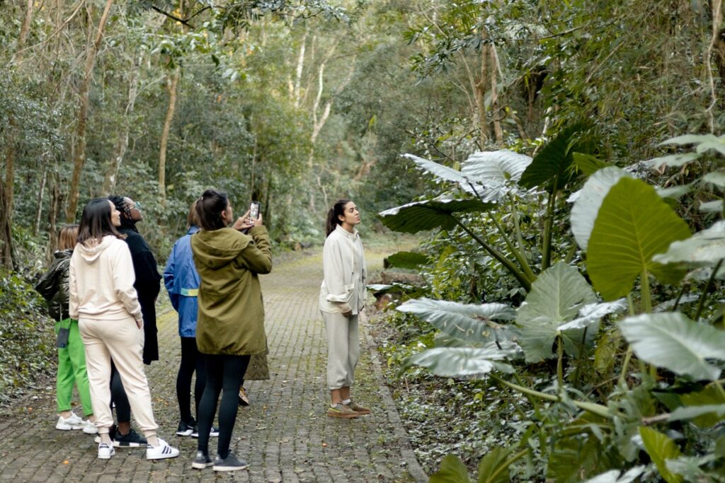 Iguazú Wellness Banho de floresta