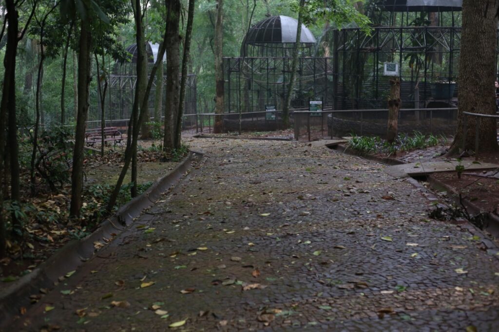 Bosque Guarani Foz do Iguaçu