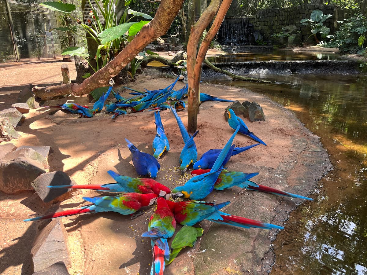 Parque das Aves