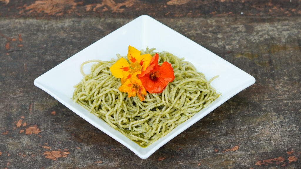 espaguete vegano com pesto de ora-pro-nóbis