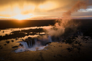 From the Amazon to Iguazu Falls: Exploring Brazil’s Forests